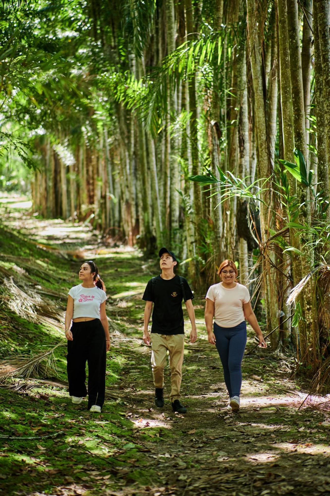 Fundo San Jose Parque Ecologico & Lodge Hotel Asociado Casa Andina La Merced  Eksteriør bilde